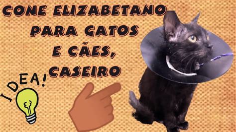 cone elizabetano caseiro - o que é colar elizabetano